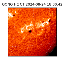 gong - 2024-08-24T18:00:42