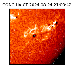 gong - 2024-08-24T21:00:42