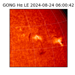 gong - 2024-08-24T06:00:42