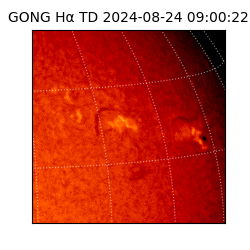 gong - 2024-08-24T09:00:22