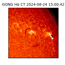 gong - 2024-08-24T15:00:42