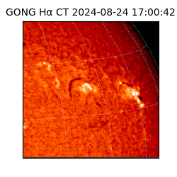 gong - 2024-08-24T17:00:42