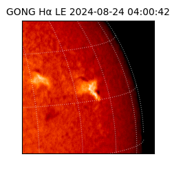 gong - 2024-08-24T04:00:42