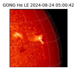 gong - 2024-08-24T05:00:42