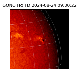 gong - 2024-08-24T09:00:22