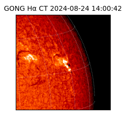 gong - 2024-08-24T14:00:42