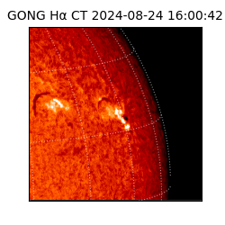 gong - 2024-08-24T16:00:42