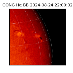 gong - 2024-08-24T22:00:02