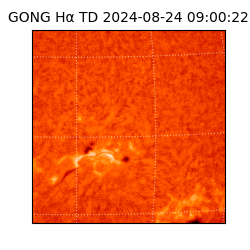 gong - 2024-08-24T09:00:22