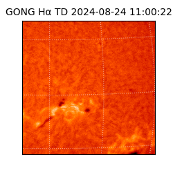 gong - 2024-08-24T11:00:22