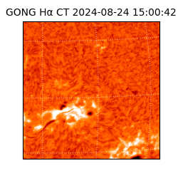 gong - 2024-08-24T15:00:42