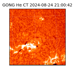 gong - 2024-08-24T21:00:42