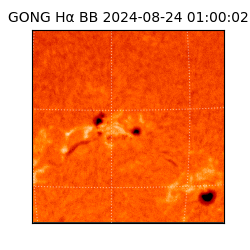 gong - 2024-08-24T01:00:02