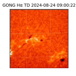 gong - 2024-08-24T09:00:22