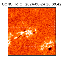 gong - 2024-08-24T16:00:42