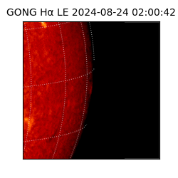 gong - 2024-08-24T02:00:42