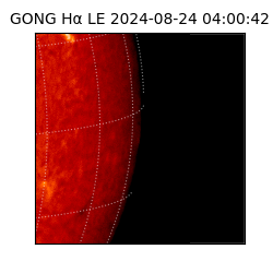 gong - 2024-08-24T04:00:42