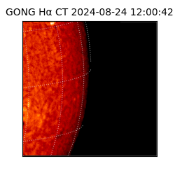 gong - 2024-08-24T12:00:42