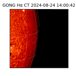 gong - 2024-08-24T14:00:42