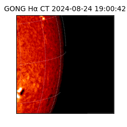 gong - 2024-08-24T19:00:42