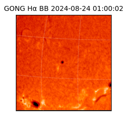 gong - 2024-08-24T01:00:02