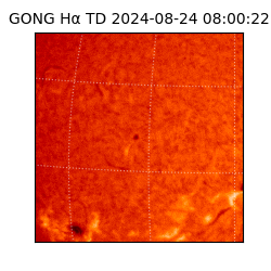 gong - 2024-08-24T08:00:22