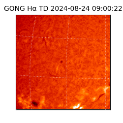 gong - 2024-08-24T09:00:22