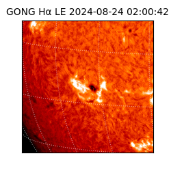 gong - 2024-08-24T02:00:42