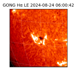 gong - 2024-08-24T06:00:42