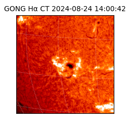 gong - 2024-08-24T14:00:42