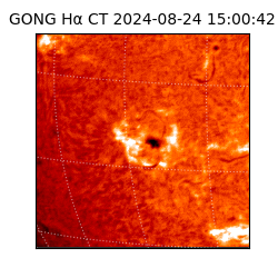 gong - 2024-08-24T15:00:42