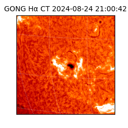 gong - 2024-08-24T21:00:42