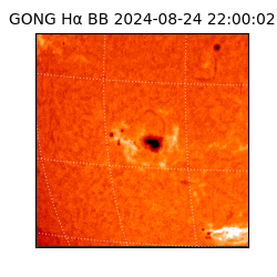 gong - 2024-08-24T22:00:02