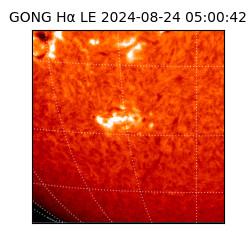 gong - 2024-08-24T05:00:42