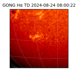 gong - 2024-08-24T08:00:22