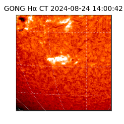 gong - 2024-08-24T14:00:42