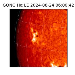 gong - 2024-08-24T06:00:42