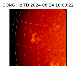 gong - 2024-08-24T10:00:22