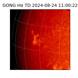 gong - 2024-08-24T11:00:22