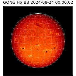 gong - 2024-08-24T00:00:02