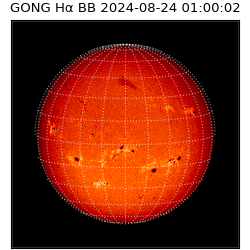 gong - 2024-08-24T01:00:02