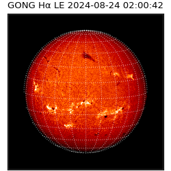 gong - 2024-08-24T02:00:42