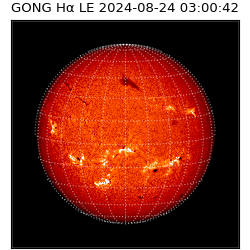gong - 2024-08-24T03:00:42