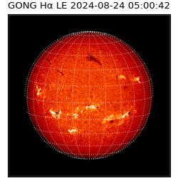 gong - 2024-08-24T05:00:42