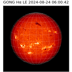 gong - 2024-08-24T06:00:42