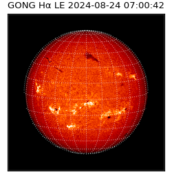 gong - 2024-08-24T07:00:42