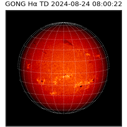 gong - 2024-08-24T08:00:22