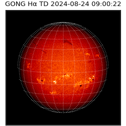 gong - 2024-08-24T09:00:22