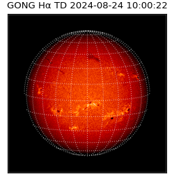 gong - 2024-08-24T10:00:22