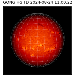gong - 2024-08-24T11:00:22